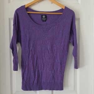 American Eagle Outfitters Purple Scoop Neck Sweater